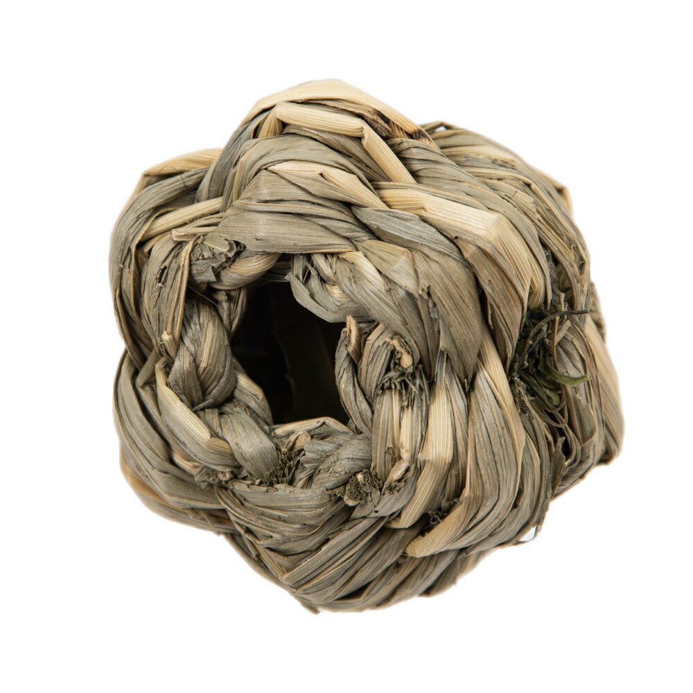 三晃商会 SANKO フォージング入門 ネピアボール M 関東当日便