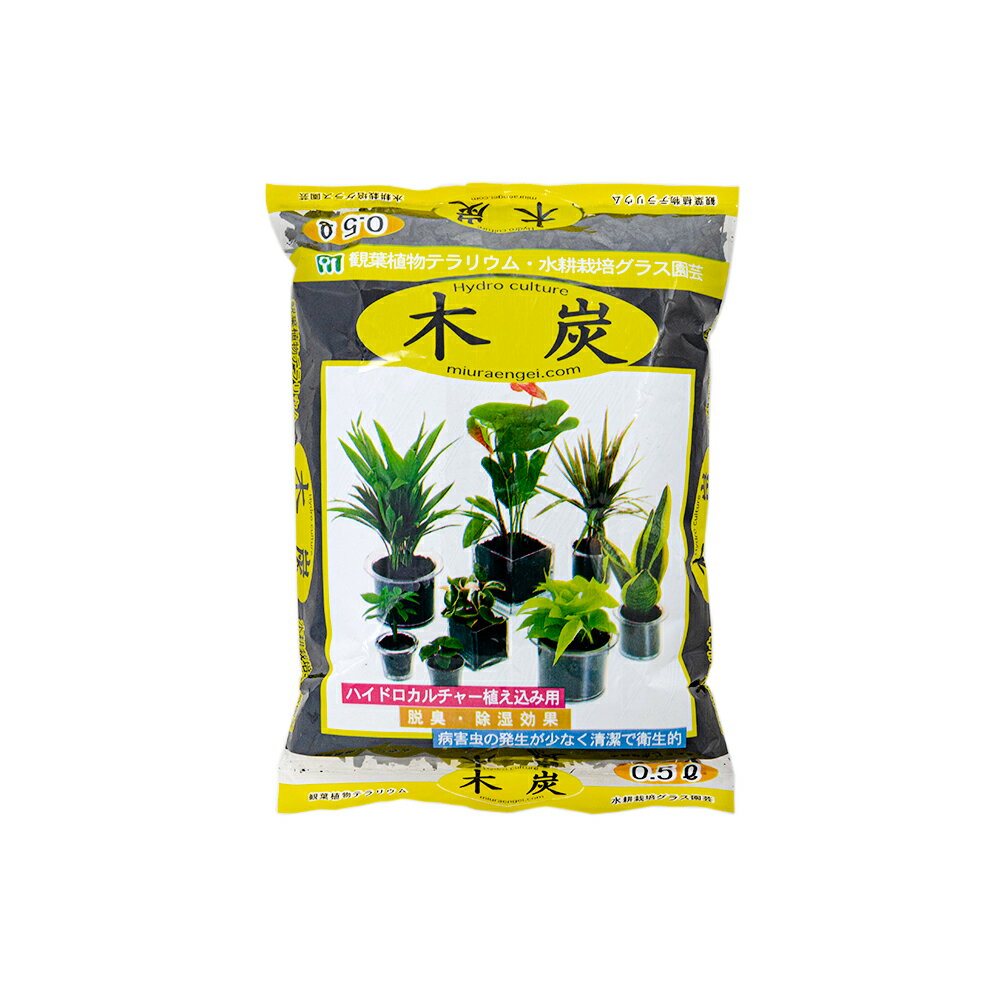 木炭 0．5L ハイドロカルチャー 園芸 ガーデニング