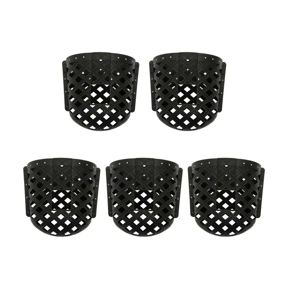 コウモリランポケット　ブラック　ハンギング　コウモリラン　ビカクシダ　5個入り　関東当日便