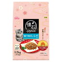 キャットフード ペットライン 懐石ippin 瀬戸内産しらす添え 1.2kg(300g×4袋) 国産 関東当日便