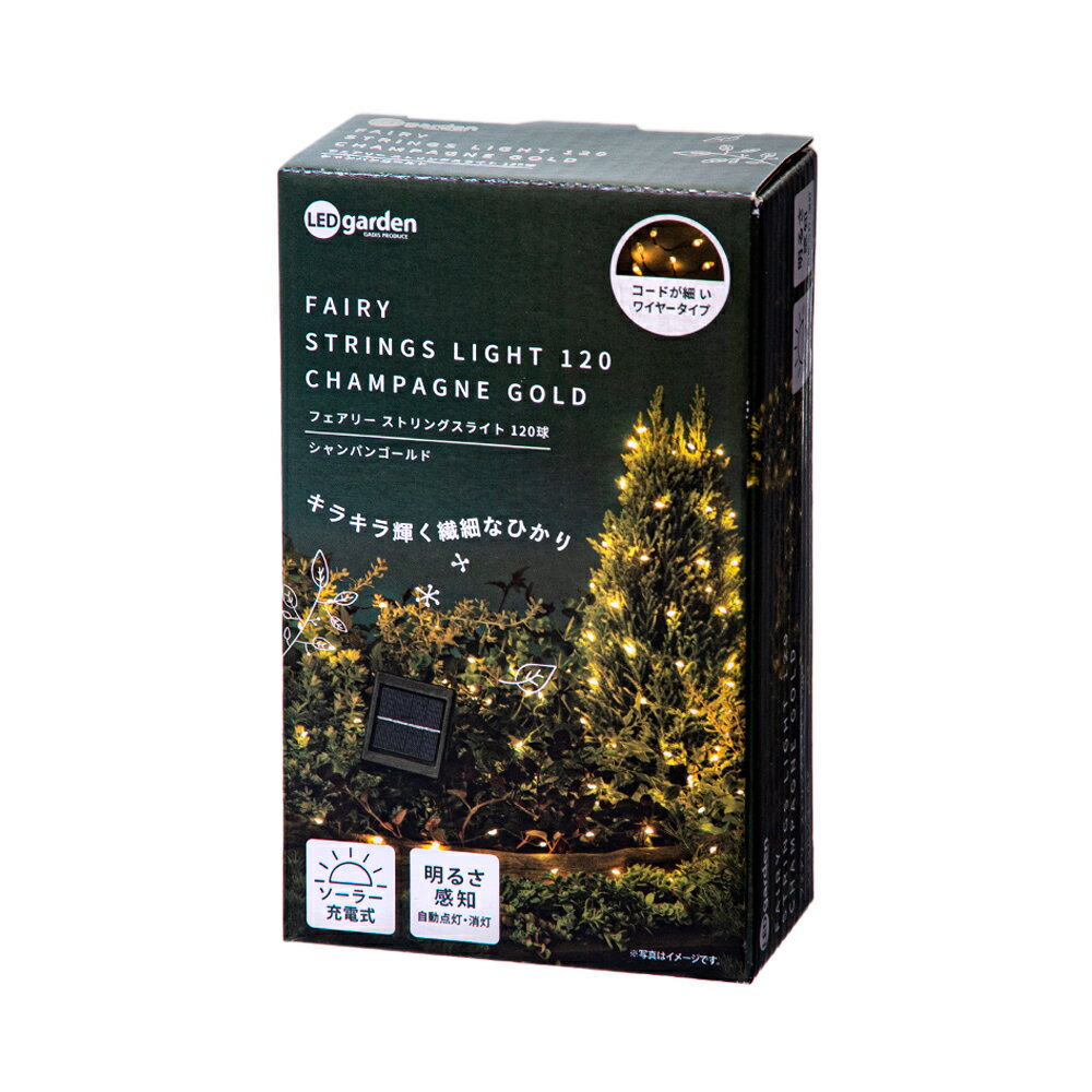 ����ߥ͡������120�塡�����ѥ󥴡���ɡ��ե����꡼���ȥ�󥰥��饤�ȡ����ꥹ�ޥ����ž�������������