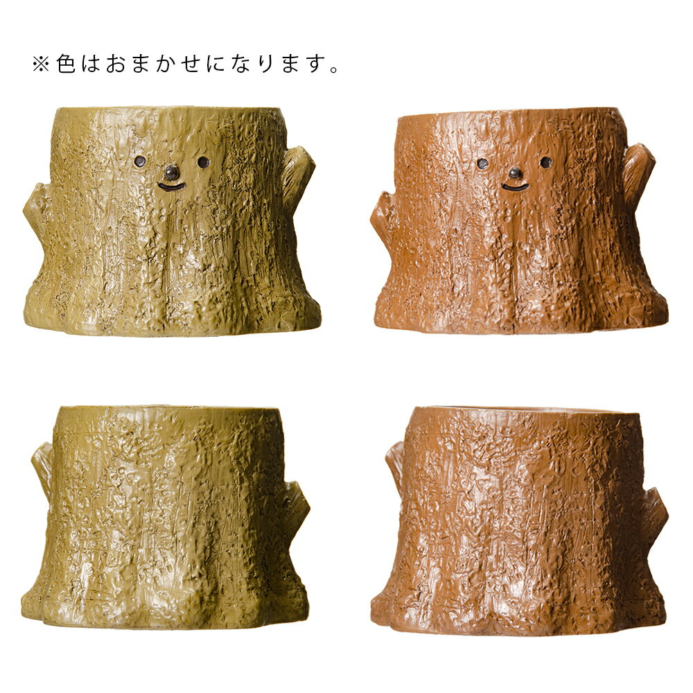 ȭ����ȥ�쥸��ݥåȡ��ڤ����1��ݥå��ѡ������ޤ�����ȭ���С�������������