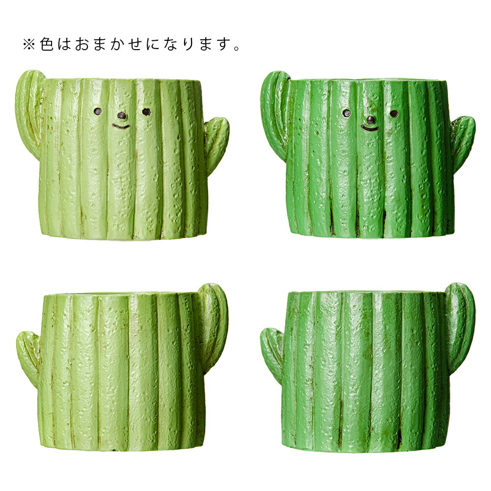 ȭ����ȥ�쥸��ݥåȡ����ܥƥ�1��ݥå��ѡ������ޤ�����ȭ���С�������������