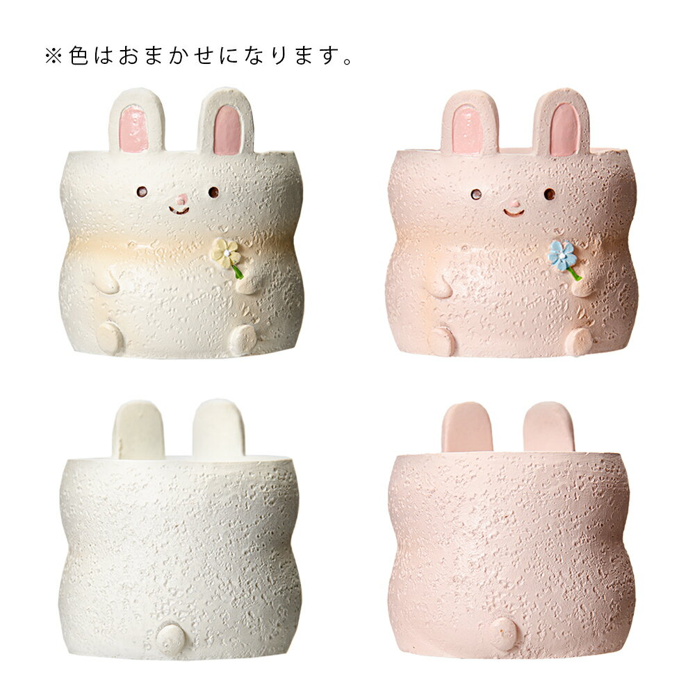 ȭ����ȥ�쥸��ݥåȡ���������1��ݥå��ѡ������ޤ�����ȭ���С�������������