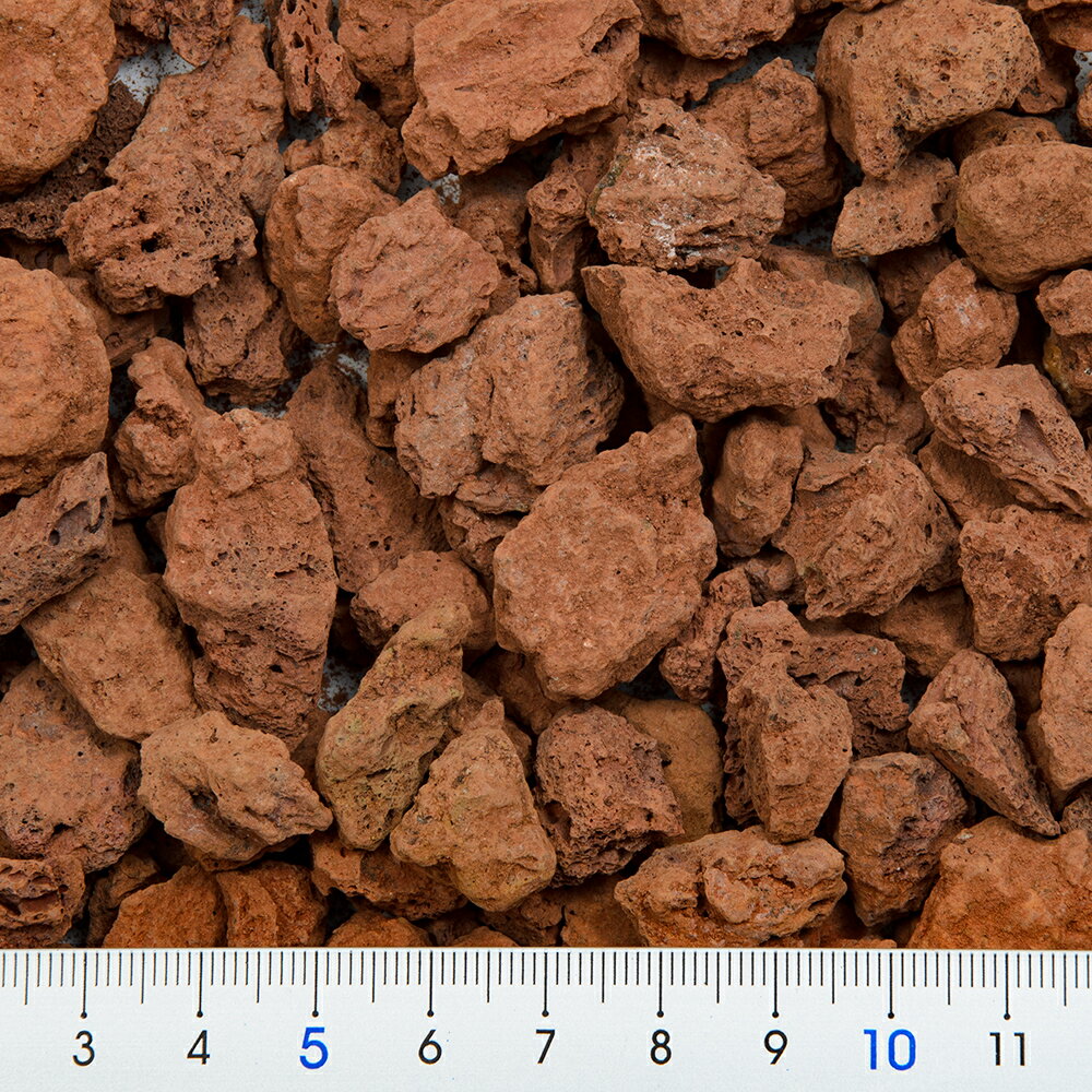 ����å��她�ȡ��󡡥֥饦��1kg�����տ�ʪ���ޥ���󥰺ࡡ����������