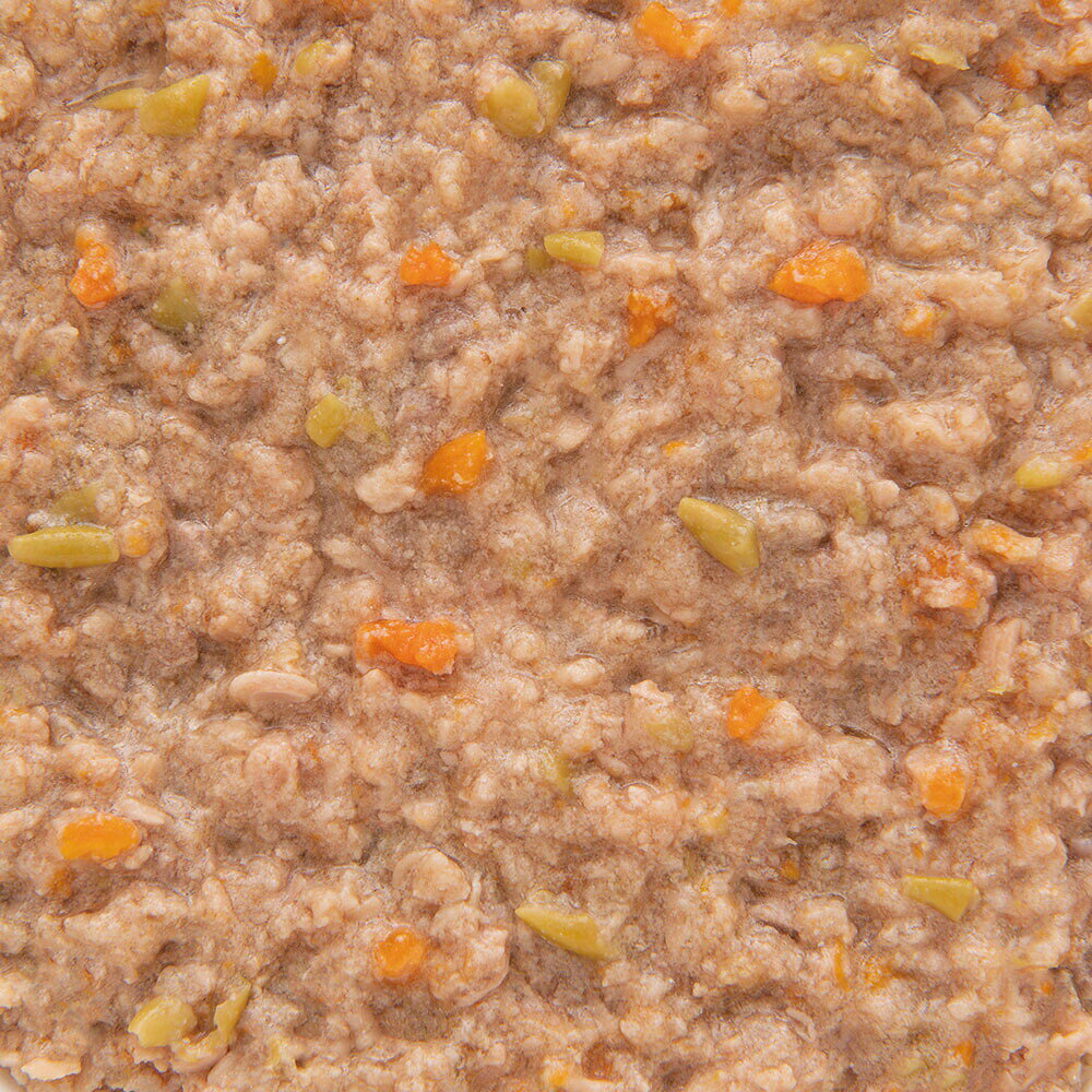 デビフ　シニア食　乳酸菌・オリゴ糖配合　150g×24缶　缶詰　犬　ウェットフード　ドッグフード　関東当日便 chanet3980-10049414 charm 3980 楽天市場店 サンプル画像3