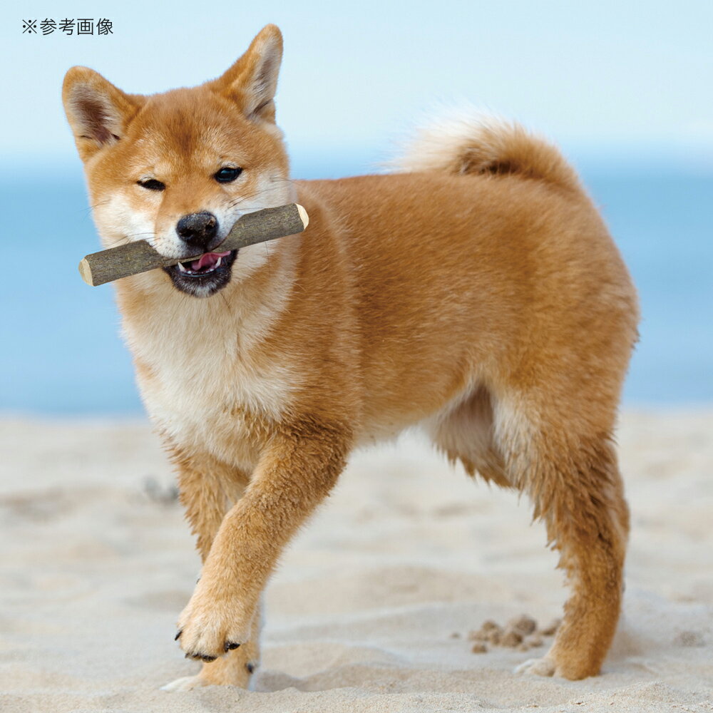 �ޥ륫�󡡻��ߤ��ڤ�󤴤��ڡ�M��1�ܡ�����������