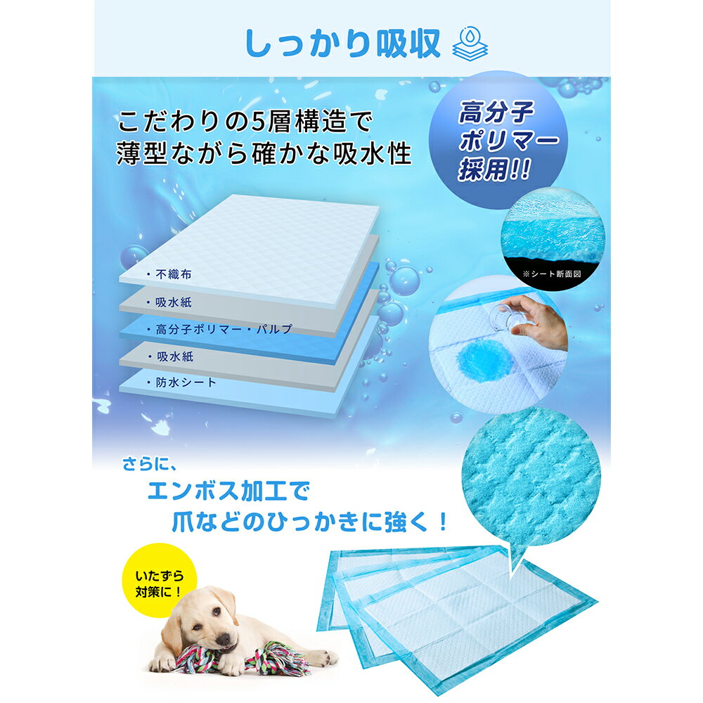 コスパがいいペットシーツ　1回使い捨てタイプ　レギュラー　200枚　関東当日便