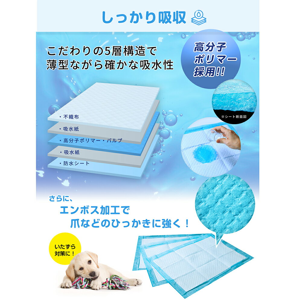 コスパがいいペットシーツ（1回使い捨てタイプ）　スーパーワイド　200枚入り　関...