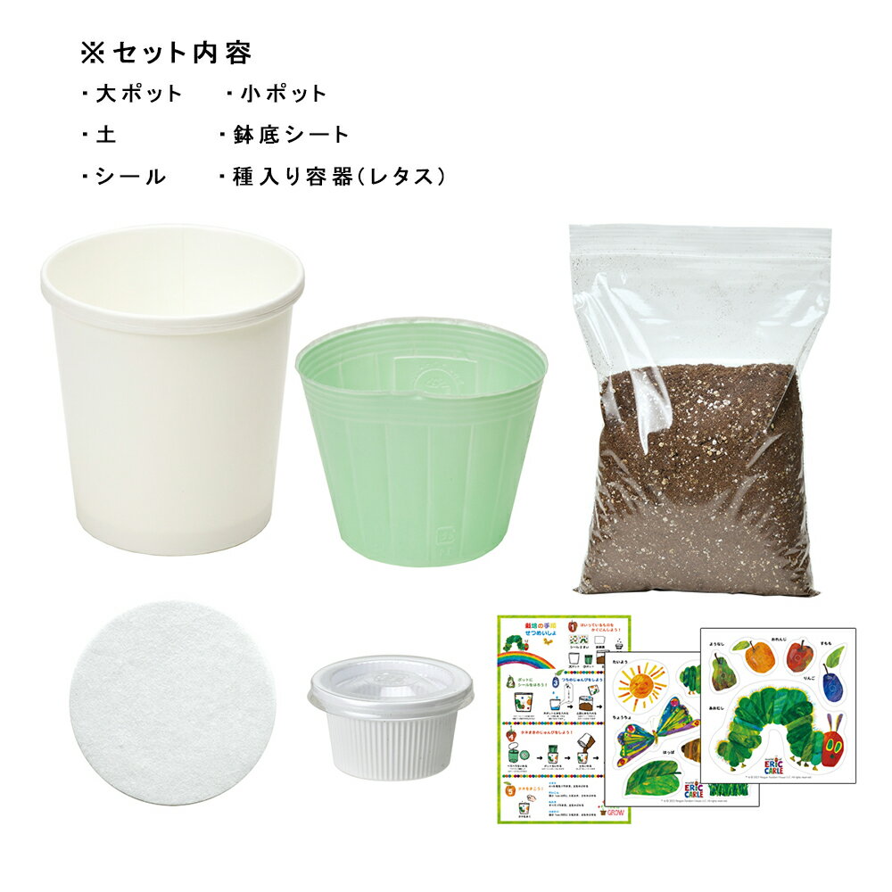 聖新陶芸　はらぺこあおむし　ペタペタ＆すくすく栽培セット　レタス　栽培セット...