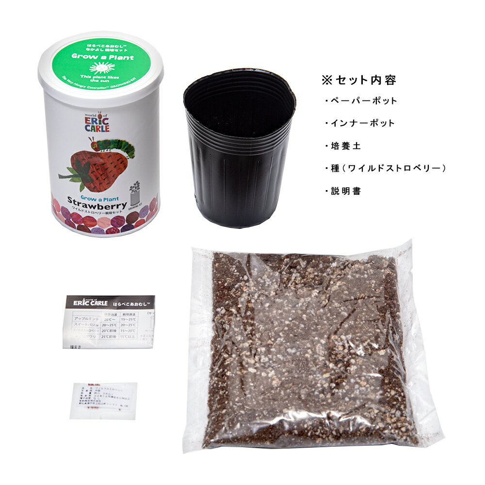聖新陶芸　はらぺこあおむし　なかよし栽培セット　ワイルドストロベリー　栽培セ...