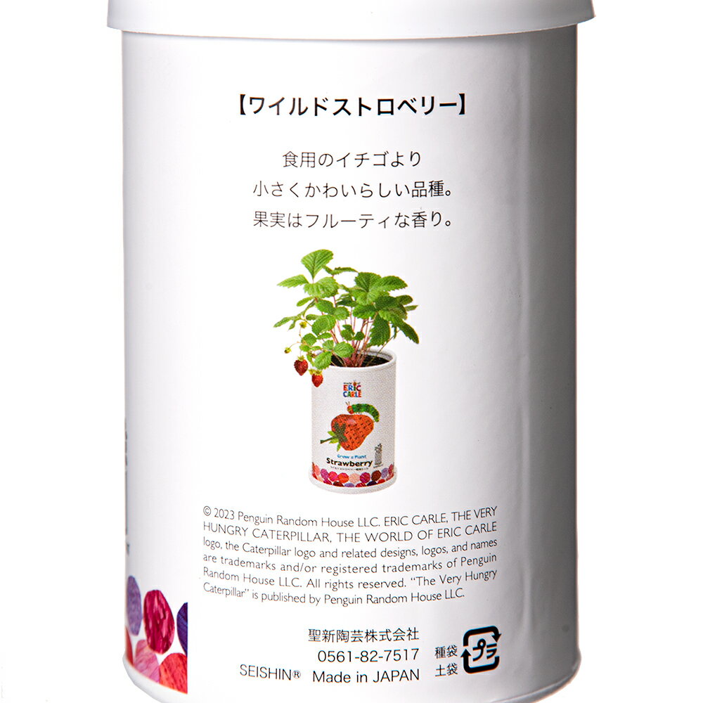 聖新陶芸　はらぺこあおむし　なかよし栽培セット　ワイルドストロベリー　栽培セ...