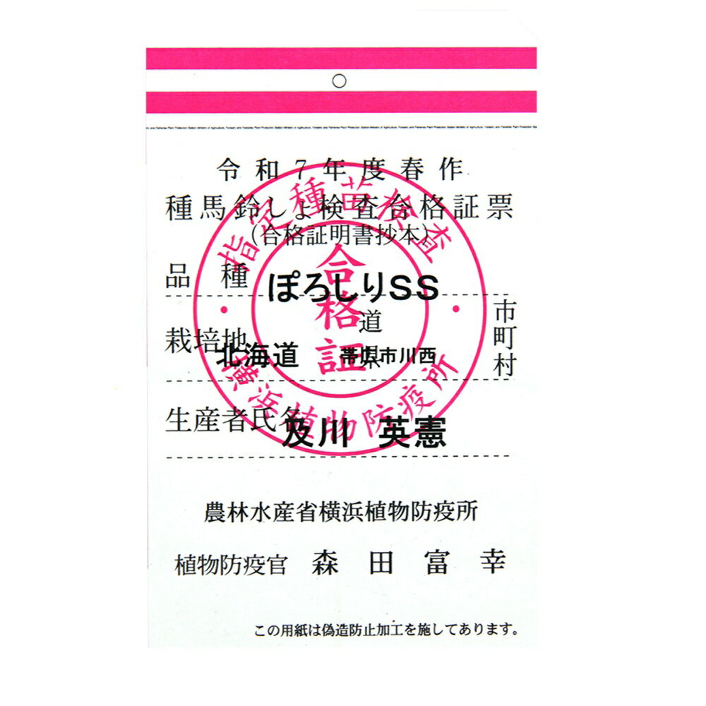 �ʴ��տ�ʪ�˼磻�⡡����ӡ��ݥƥȡ��ݤ����ꡡ6��͡�1�ޡˡ����㤬������ݡ��ݥƥȥХå����Х��ڡ����㤬���⡡���