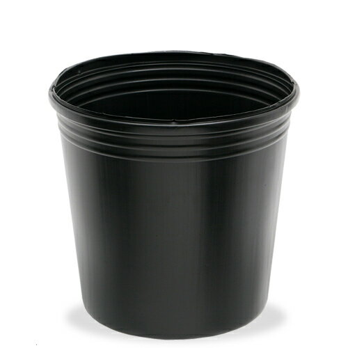 �ϥ������ؤ����åȡʥӥˡ���ݥå�10��ܥ������ȥϥ����ڡܸǷ������ǡˡ�����������