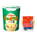 バケ土でじゃがいも栽培　ぽろしり2球セット　種イモ付き　バケツチ　カルビーポテト　お一人様3点限り　じゃがいも栽培【HLS_DU】