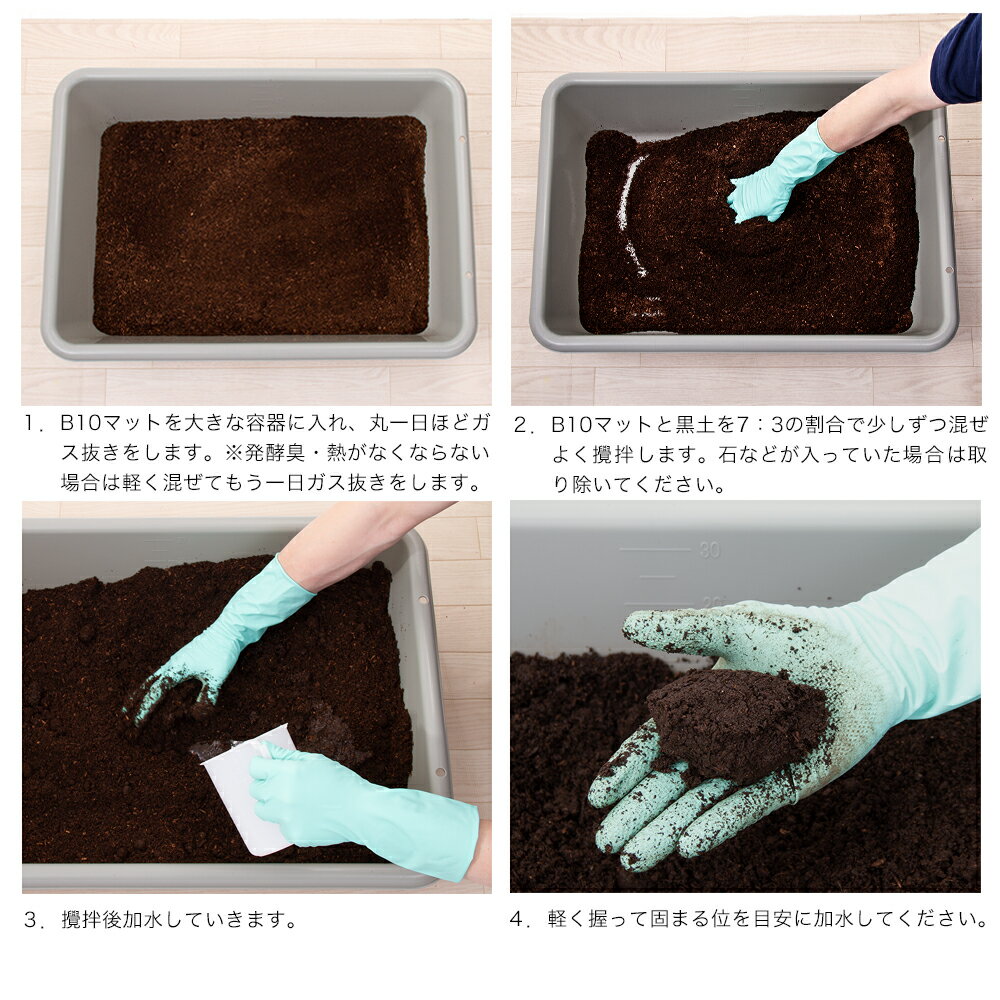 ���񻺥��֥ȥॷ�ѡ����񥻥åȡ��إ饯�쥹�����������������ȥ饹���֥꡼�ɡ����åȡ�����������