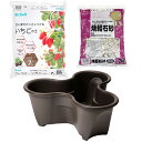 いちご栽培セット ハーベリーポット+土付き いちご苗別売り お一人様4点限り 家庭菜園 関東当日便