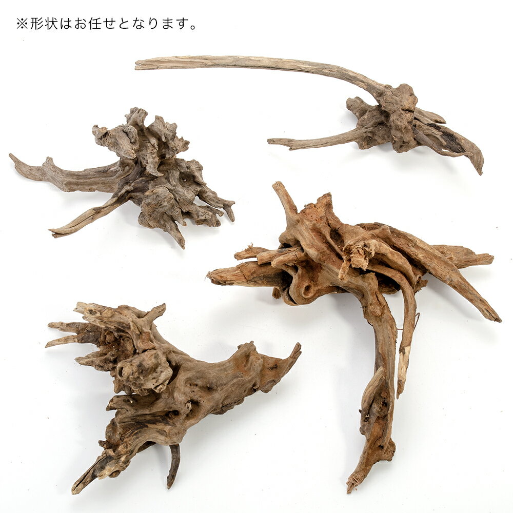 ���ߥϥ���������Ǥ����������ɥ��åɡ�S���������ꥦ�ࡡ�ƥ�ꥦ�ࡡ�ѥ���ꥦ�ࡡ�쥤�����ȡ�����������