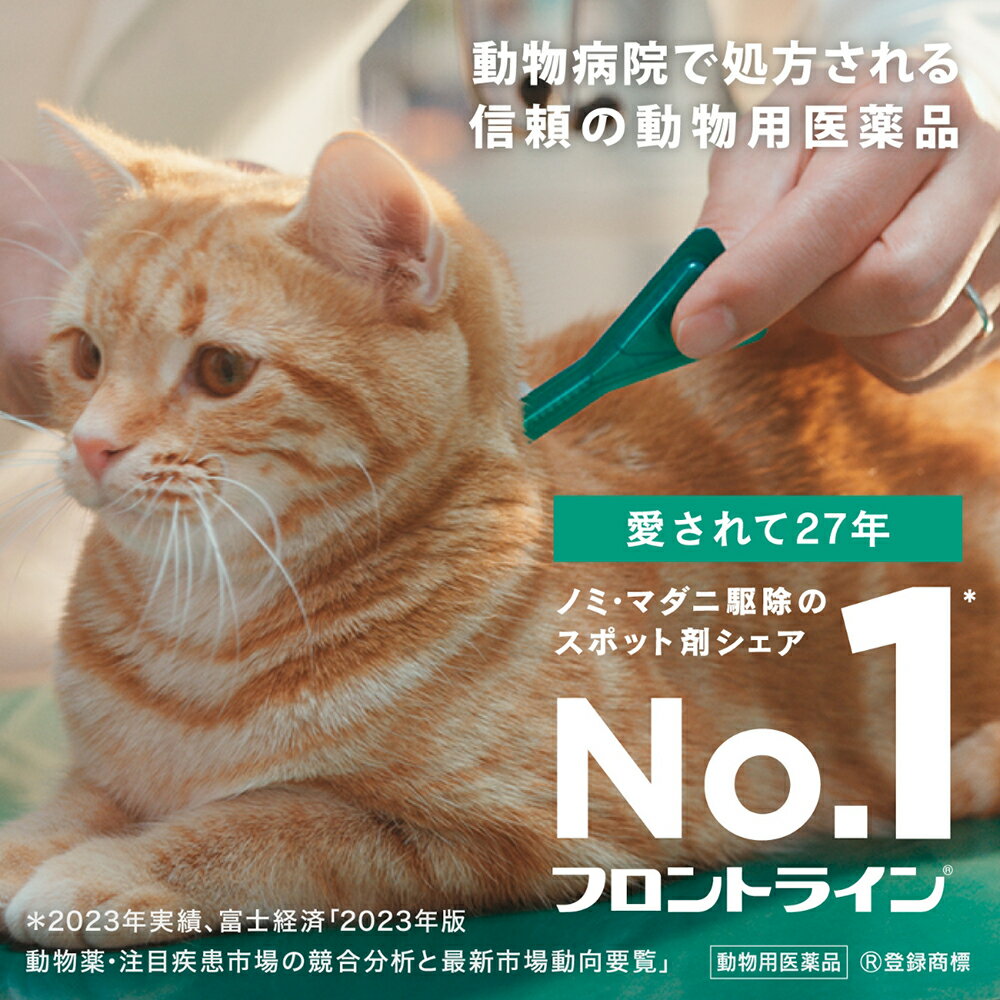 ưʪ�Ѱ����ʡ��ե���ȥ饤��ץ饹������åȡ�3�ܡ�ưʪ�Ѱ����ʡ�����������