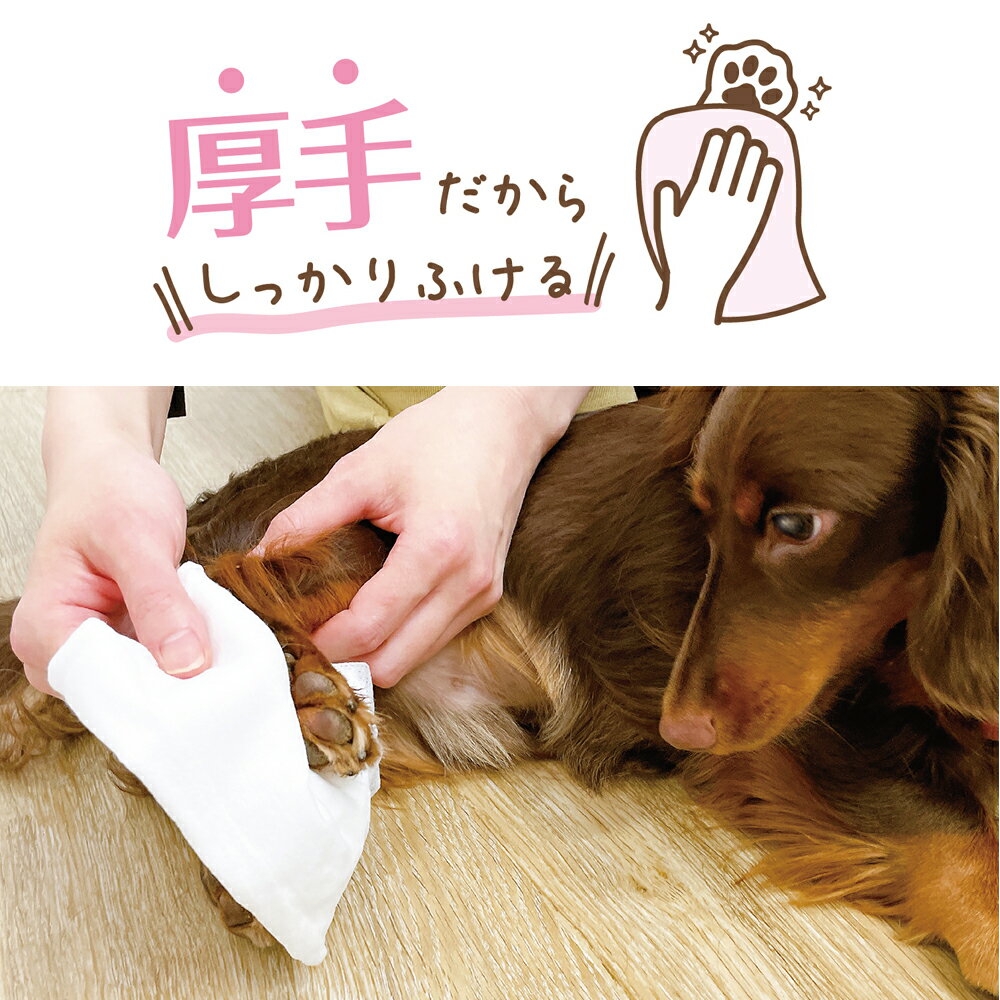 �ɥ����ޥ󡡥ڥå����ѥ����åȥƥ��å��塡�ݼ���ʬ�ץ饹��60�硡����������