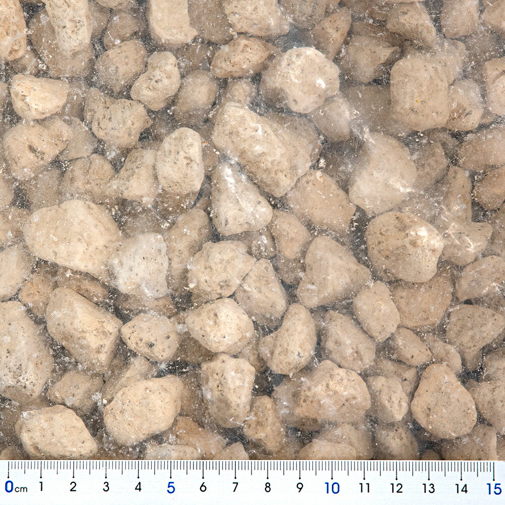 �Ҥ夦���ڡ���γ��2L������������