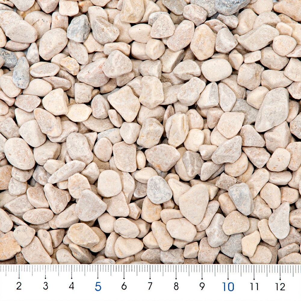 ���顼���ȡ��󡡥��˥�����YE�ˡ�γ������8��13mm���ޥ���󥰺ࡡ����������