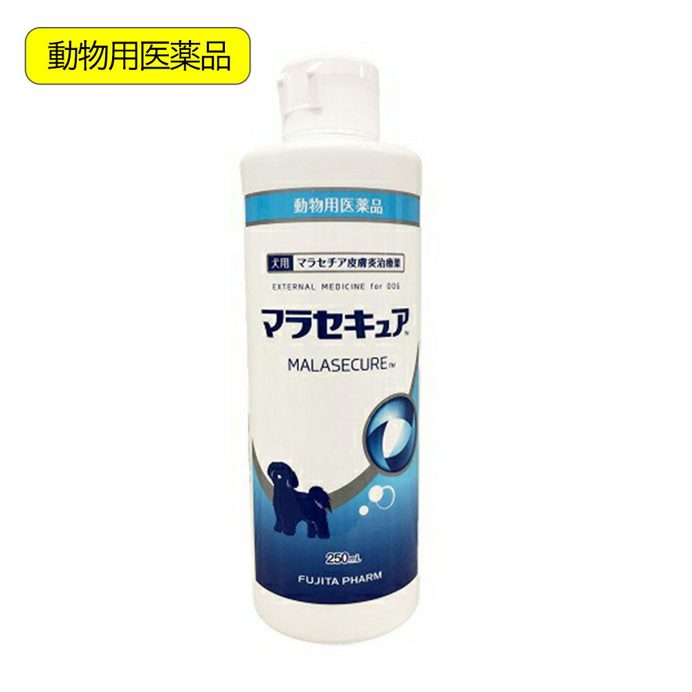 動物用医薬品　マラセキュア　シャンプー　犬用　250ml　動物用医薬品　関東当日便