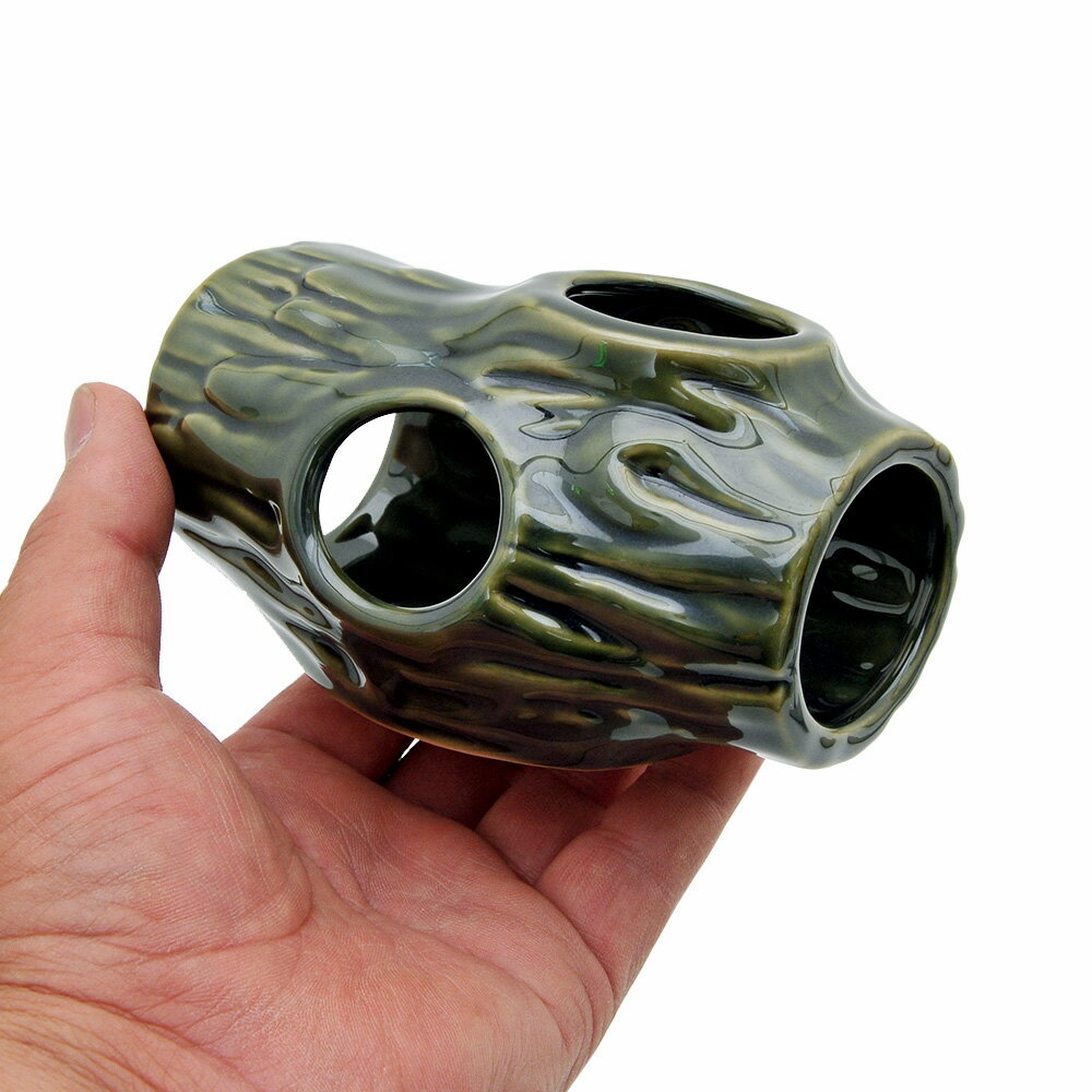 ���¡������ڵ������ꡡ����������