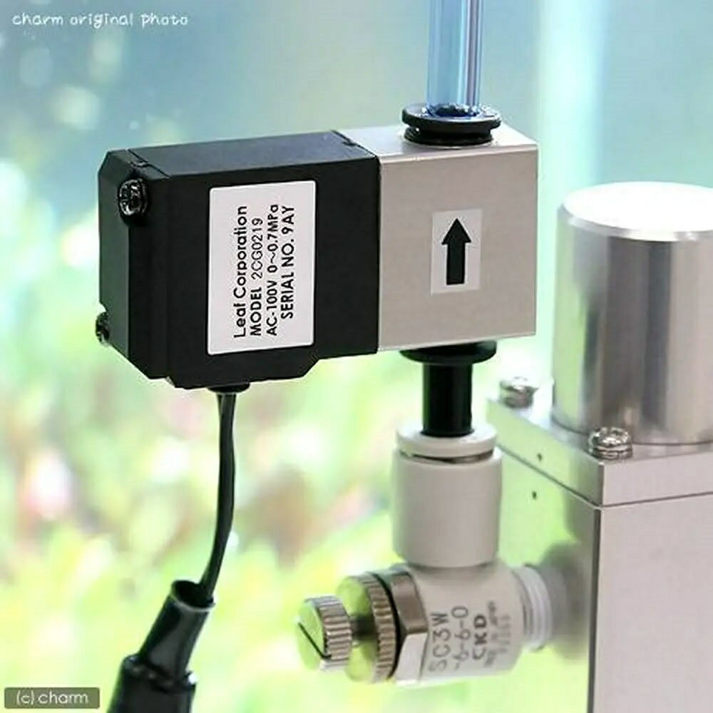 ȯǮ�ξ��ʤ�������CO2���ż��ۡ�2CG0219�ˡܥץ�����ॿ���ޡ��ۥ磻�ȡ�����������