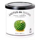 聖新陶芸 カクタス de カクタス 丸サボテン 栽培セット 家庭菜園 ギフト 多肉植物 関東当日便