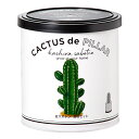 聖新陶芸 カクタス de カクタス 柱サボテン 栽培セット 家庭菜園 ギフト 多肉植物 関東当日便