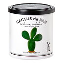 聖新陶芸 カクタス de カクタス ウチワサボテン 栽培セット 家庭菜園 ギフト 多肉植物 関東当日便