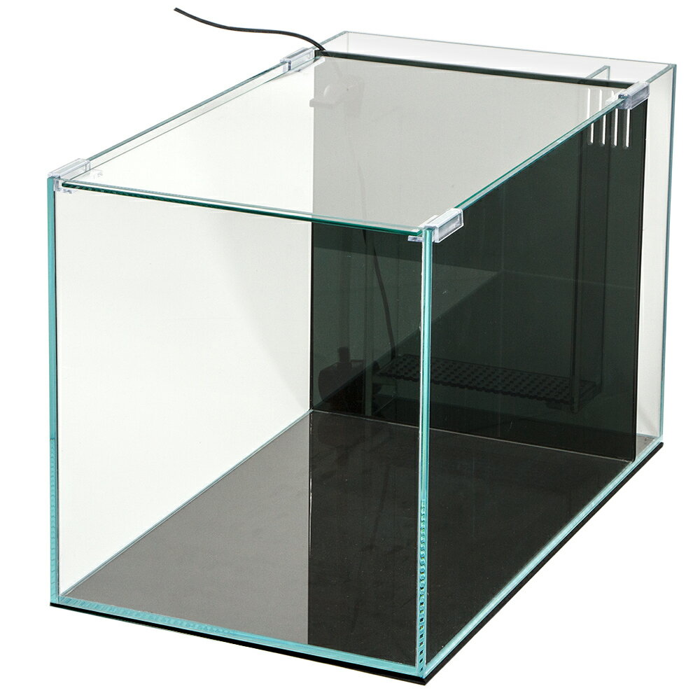 ���饹���塡��������45cm�����̥ե������塡�����ѡ����ꥢ������������ɥ��åȡ��������1���¤ꡡ����������