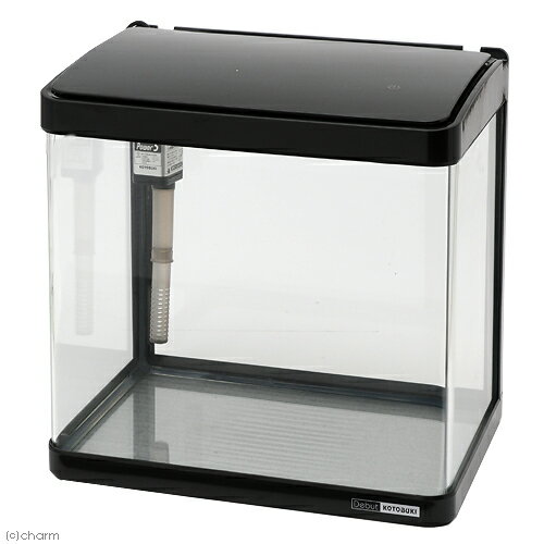 ���ȥ֥����ݡ��ǥӥ塼N325�����ٶʤ����饹�����LED�饤�ȡܾ������ե��륿���Υ��åȡ��������2���¤ꡡ����������