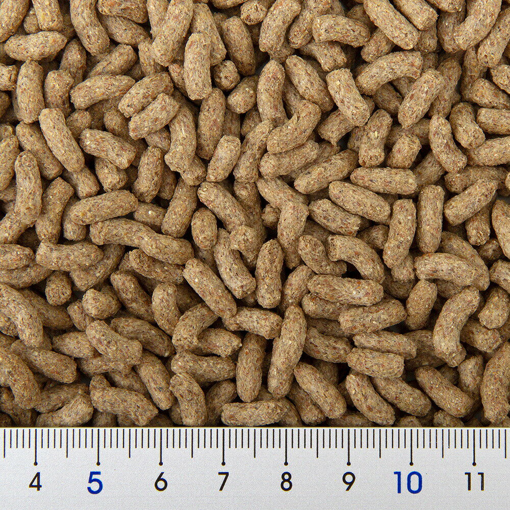 日本ペットフード　パルone　ラビットフード　フルーツ味　600g×6　主食　関東当日便 chanet3980-10040251 charm 3980 楽天市場店 サンプル画像2