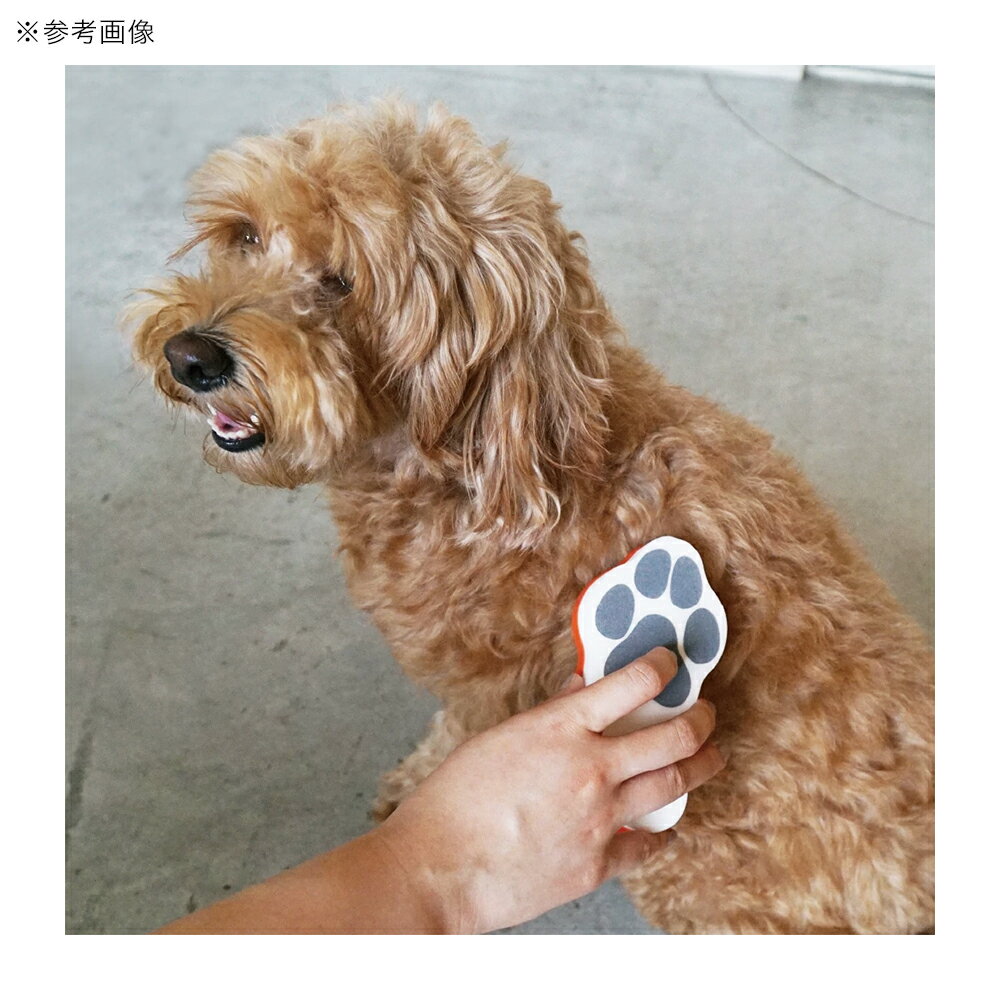 �ϥꥪ���ڥåȤΥ֥饷������åơ����եȡ�����󥸡����롼�ߥ󥰥֥饷������������