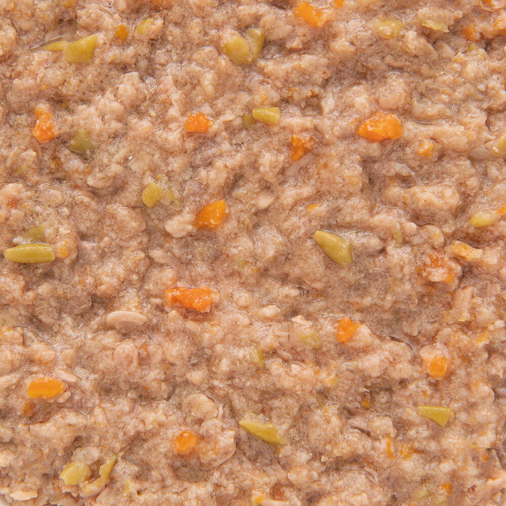 デビフ　シニア食　乳酸菌・オリゴ糖配合　150g　缶詰　犬　ウェットフード　ドッグフード　関東当日便 chanet3980-10039237 charm 3980 楽天市場店 サンプル画像3