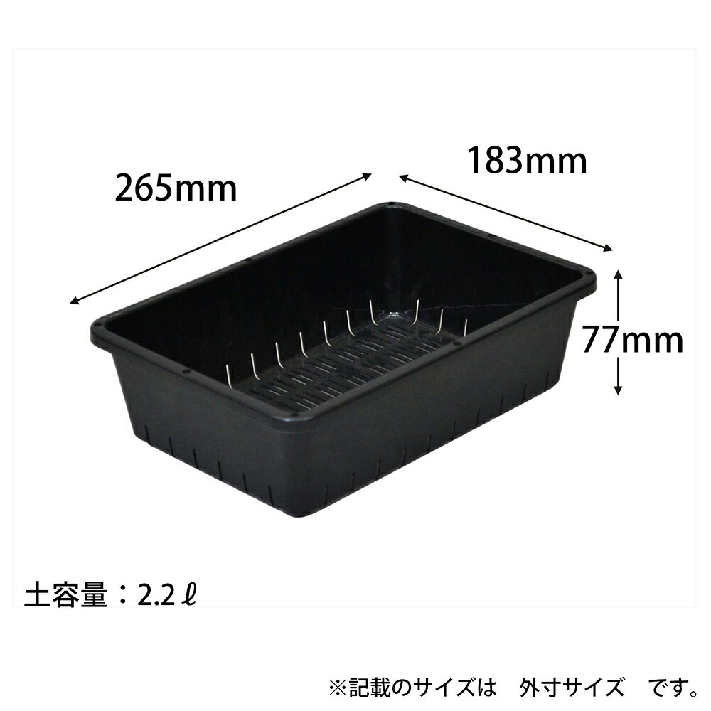 ����å�ȭ�����åץ륦�����������ĥ���ƥʡ���6�����ץ쥹�ƥ�90���б�������������