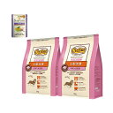 ニュートロ ナチュラルチョイス 小型犬用 成犬用 チキン&玄米 3kg×2袋+パウチ 1袋 おまけ付 お一人様1点限り 関東当日便