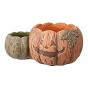 アウトレット品 鉢 ジャックオーランタンワイドL グリーン×ライトブラウン ハロウィン 植木鉢 観葉植物 訳あり 関東当日便