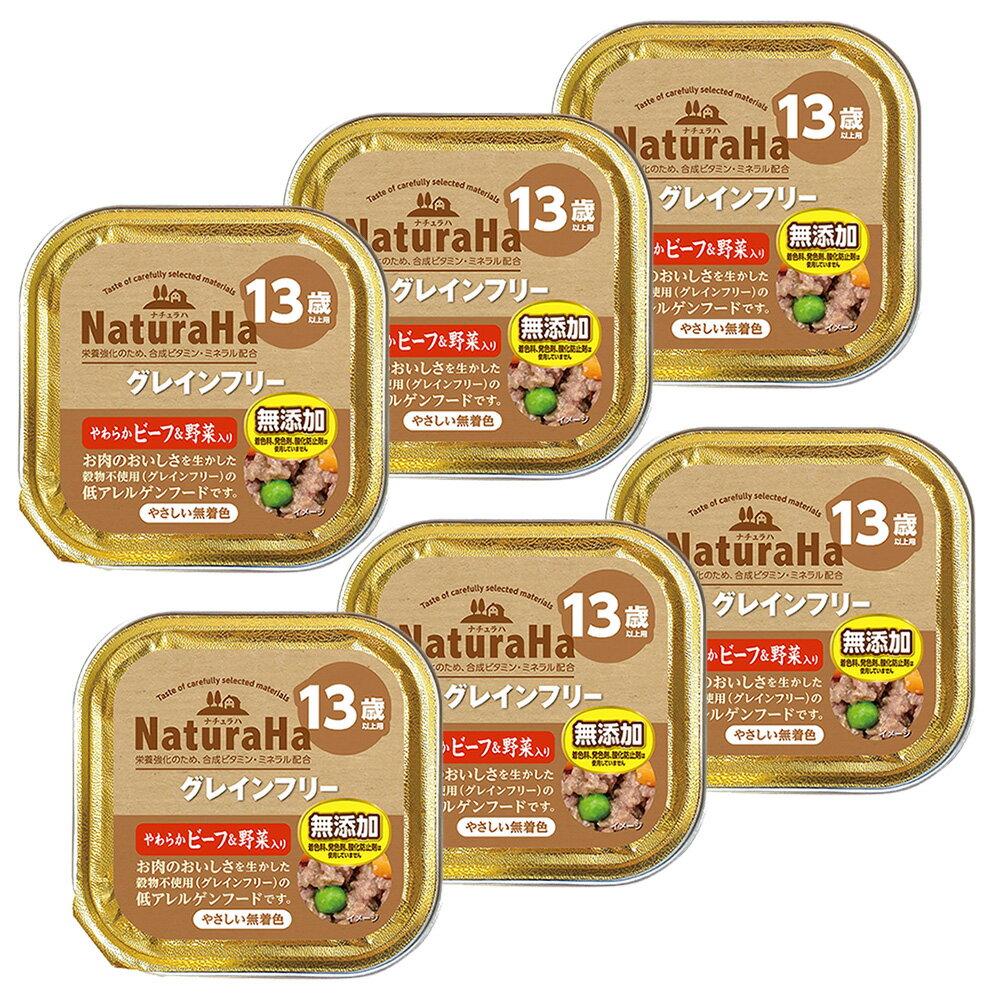 Natural - サンライズ　ナチュラハ　グレインフリー　やわらかビーフ＆野菜入り　13歳以上　100g×6　関東当日便