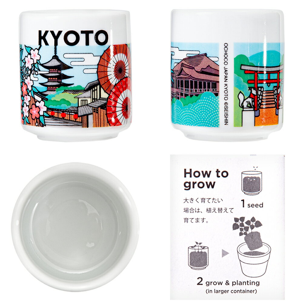 ����ƫ�ݡ�����Ǥ������礳�����ԡ������ա����ݥ��åȡ������ڱࡡ���եȡ�����������