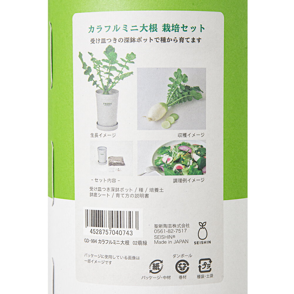 ����ƫ�ݡ�����ե�ߥ��纬��˨�С����å��󥬡��ǥ󡡺��ݥ��åȡ������ڱࡡ���եȡ�����������