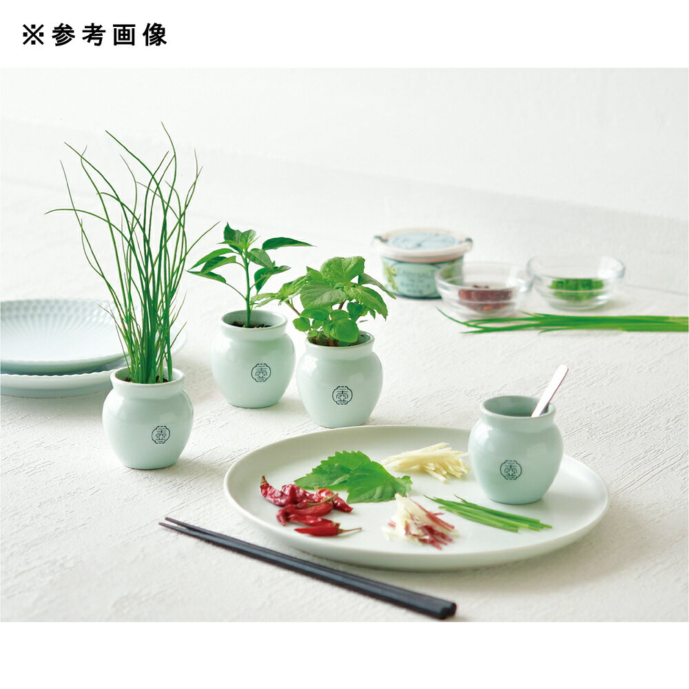 ����ƫ�ݡ�TSUBO���Ȥ����餷�����ݥ��åȡ������ڱࡡ���եȡ�����������������