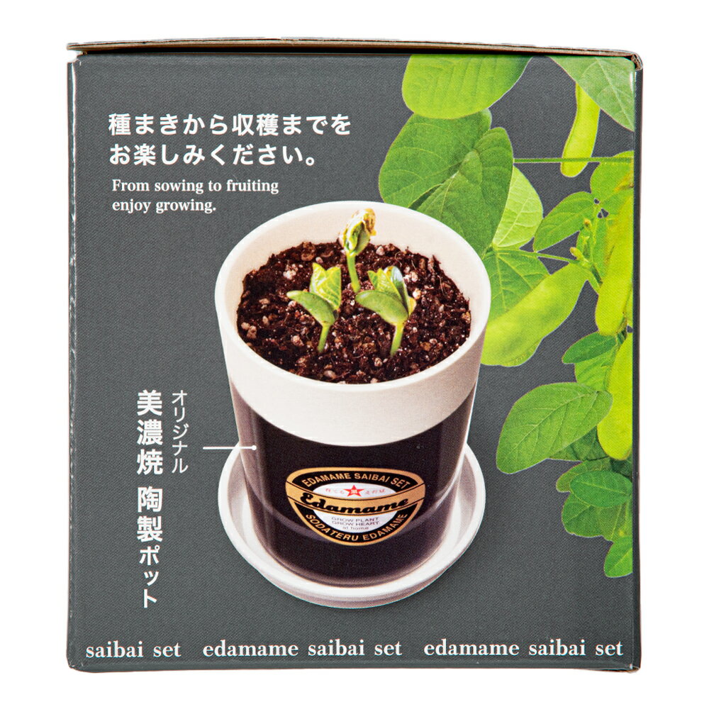 ����ƫ�ݡ���Ƥ������Ʀ�����ݥ��åȡ����եȡ���������ץ쥼��ȡ�����������