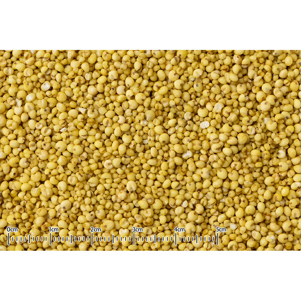 黒瀬ペットフード　SSシリーズ　シード食専用サプリメント食べるビタミン　80g　関東当日便 chanet3980-10030774 charm 3980 楽天市場店 サンプル画像2