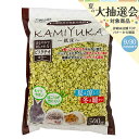 クリーンモフ KAMIYUKA~紙床~ ピスタチオカラー 500g 関東当日便