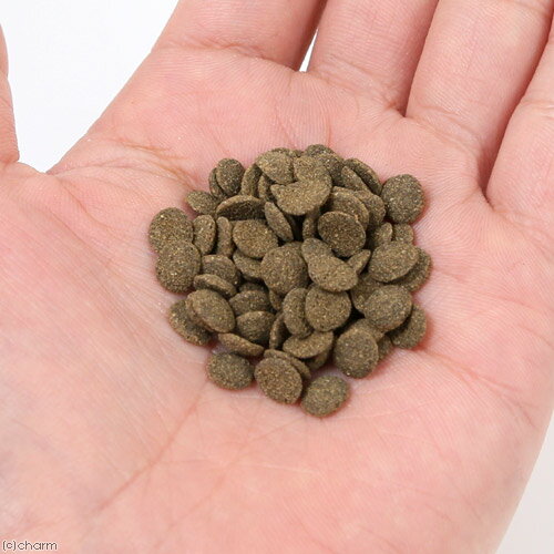 ���硼��󡡤Ҥ��ꥯ�쥹�ȡ�����ɥ饹��80g��3���¡�����������������������