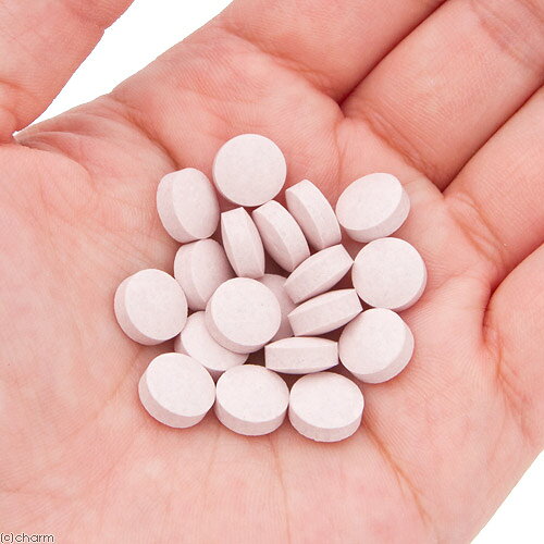 三晃商会　シニアケア　サプリお徳用　100g×3　うさぎ　おやつ　関東当日便 chanet3980-10030907 charm 3980 楽天市場店 サンプル画像2