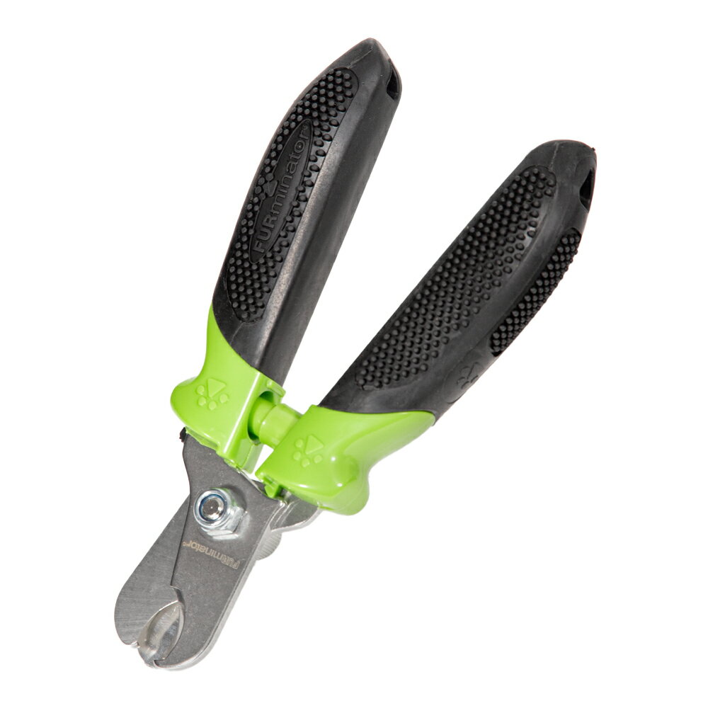 �ե����ߥ͡����������ڤꡡ�����ʡ�����������